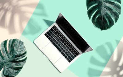 Veterinary Marketing Guide for Parasite Prevention Month