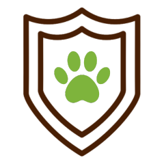 Pet vaccination icon