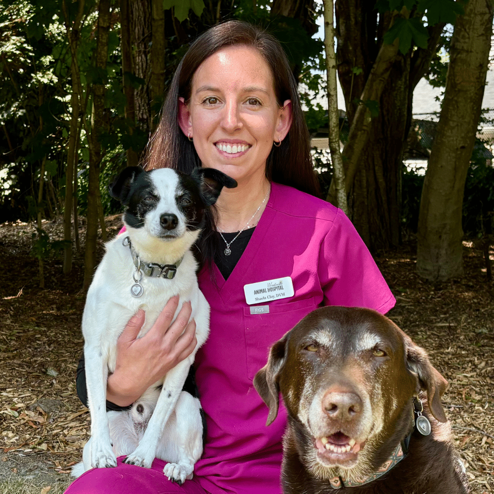 Dr. Shaela Clay photo