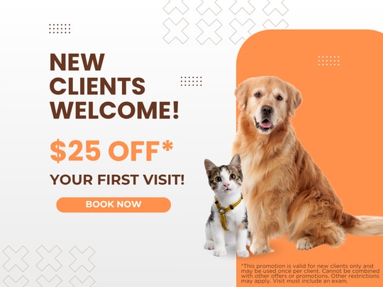 New clients welcome 40-off